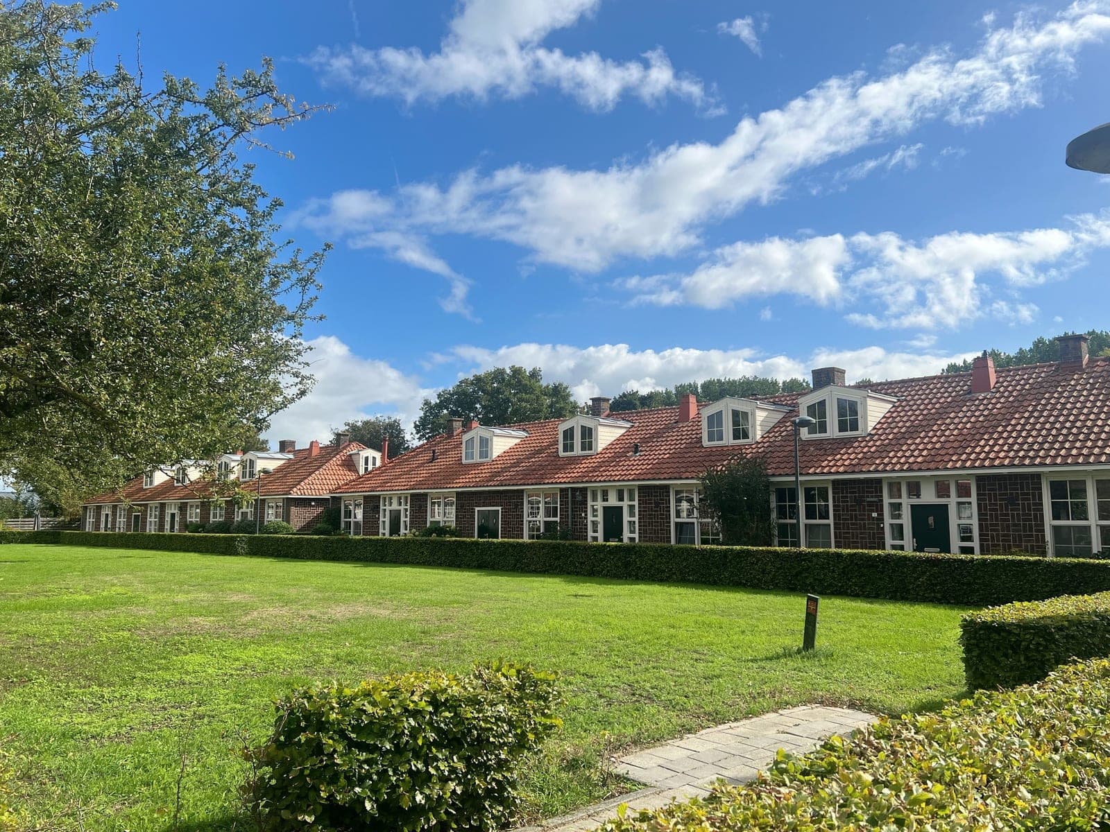 Rij woningen met rode pannendaken aan een grasveld in Lelystad-Haven