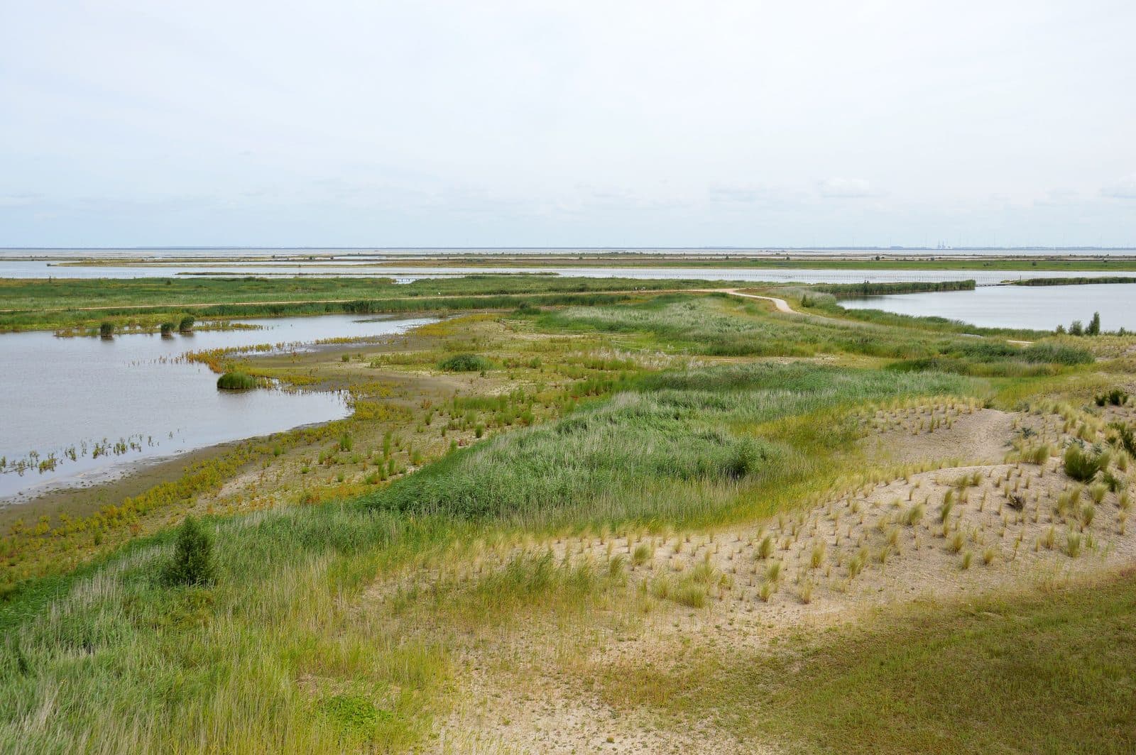 Uitzicht vanaf de uitkijktoren over duinen, riet en ondiep water op de Marker Wadden